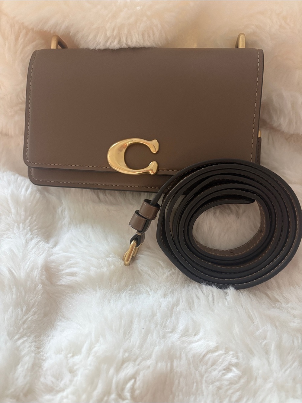 Coach mini bandit Crossbody bag